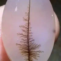 سنگ مصور ،مهره جزع، شجر ، کلکسیونی