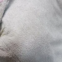 2عدد کاپشن دخترانه تمیز و سالم درحد نو.فولادشهر|لباس|فولادشهر, B5|دیوار