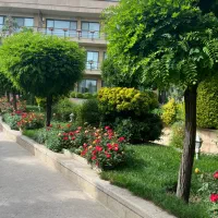 ۳۲۱ متر ۴ خوابه لوکس بر کاخ سعد اباد ،جعفری|فروش آپارتمان|تهران, تجریش|دیوار