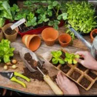کلیه خدمات باغبانی منازل پذیرفته می شود