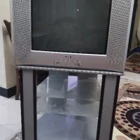 تلویزیون