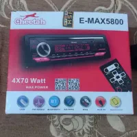 ضبط چیتا