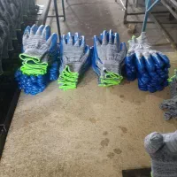 دستکش کارگری|لباس|مشگین شهر, |دیوار