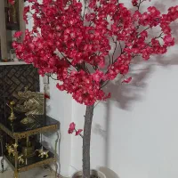 درخچه شکوفه