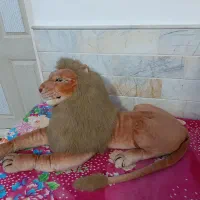 عروسک|اسباب‌‌بازی|قم, نیروگاه|دیوار