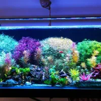اکواریوم ریملس پلنت 100*40*40