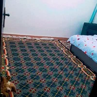 اجاره ویلا|اجارهٔ کوتاه‌مدت آپارتمان و سوئیت|ماسال, |دیوار