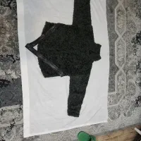 کت تدی نونو