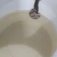 حلزون|خزنده|شوش, |دیوار