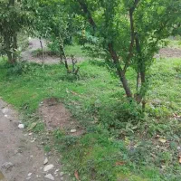 زمین مسکونی ۵۳۰ متر