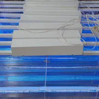 حشره کش   بزرگترین