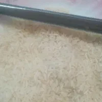 دو گونی ۱۰ کیلویی برنج خالص|خوردنی و آشامیدنی|رشت, آزادگان|دیوار