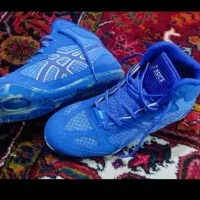 کفش ورزشی اسیکس کشتی