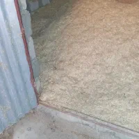 کاه درجه|لوازم جانبی حیوانات|گنبد کاووس, |دیوار