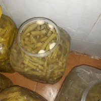 ترشی نریک بیلهروگنبو