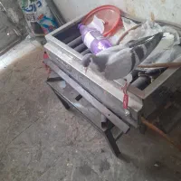 بدرنگ کبود موقلف|پرنده|اقبالیه, |دیوار