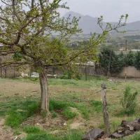 زمین|فروش زمین و ملک کلنگی|سرخه حصار, |دیوار