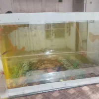 آکواریوم باماهی