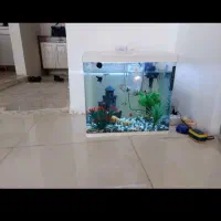 اجاره روزانه آپارتمان مبله|اجارهٔ کوتاهمدت آپارتمان و سوئیت|ایلام, |دیوار