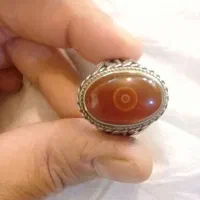 باباقوری بی نظیر و لعل کهنه