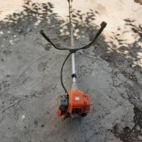 علف زن چهار زمانه