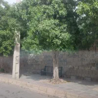 زمین-200-متری-قبل-تنگک-سند-تک