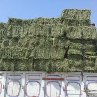 کاه یونجه و یونجه بسته بندی