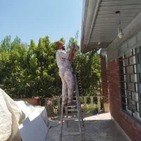 نقاش ساختمان میلاد|خدمات پیشه و مهارت|اسلامشهر, شهرک قائمیه|دیوار