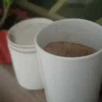 گلدان سرامیکی سایز بزرگ و کوچک