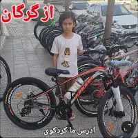 دوچرخه کوهستان ترمز دیسکی مکانیکی|دوچرخه، اسکیت، اسکوتر|گرگان, |دیوار