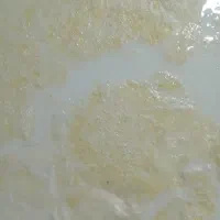 شیر|خوردنی و آشامیدنی|زاهدان, |دیوار