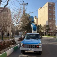 اجاره جرثقیل نیسان بالابر نفر بر سبددار کابین دار