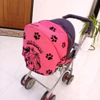 کالسکه|کالسکه و لوازم جانبی|نظرآباد, شهرک سید جمال الدین|دیوار