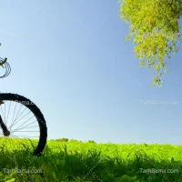 هم رکاب برای دوچرخه سواری