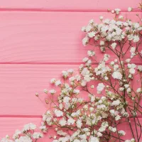 کارشناس اداری