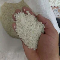 برنج فریدونکنار