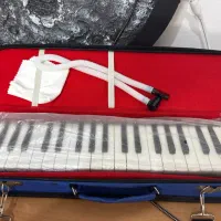 ملودیکا سوان با هاردکیس