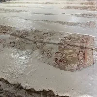 قالیشویی ابریشم|خدمات نظافت|امیدیه, |دیوار