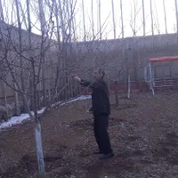 باغبانی و کشاورزی|خدمات باغبانی و درختکاری|تبریز, |دیوار