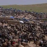 زمین-بازار-حیوان-بوکان-معاوضه-با-ماشین