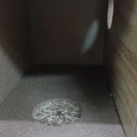 خانه پرنده|لوازم جانبی حیوانات|قم, دروازه قلعه|دیوار