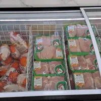 عرضه مرغ و گوشت  افق دستجرد