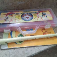 بلز وفولوت وکتاب|سازهای سنتی|آباده, |دیوار