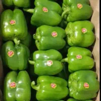 تامین میوه وصیفی جات