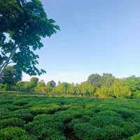 ۳۰۰متر کامل مسکونی جای دنج در دل طبیعت