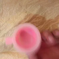 لوازم پرنده سهره قناری کفتر عروس هلندی طوطی|لوازم جانبی حیوانات|گلستان (تهران), |دیوار