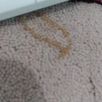 گوشی شیایومی +۱|موبایل|نسیم‌شهر, |دیوار