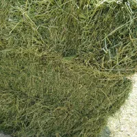 یونجه خشک انباری