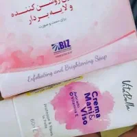 پک لایه بردار از برنداکسونیک فرانسه