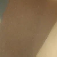 پادری نوسالم